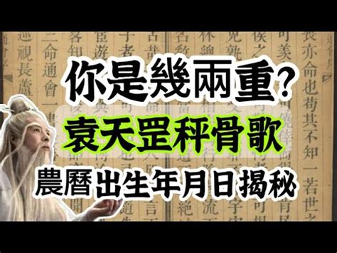 農民曆八字重量解說|八字重量計算器